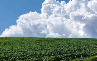 4/20/25: Nashville’s Cloudy Calm: Warm Day Ahead at 82°F