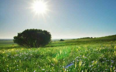 4/26/25: Partly Sunny Delight with a Warm High Near 72