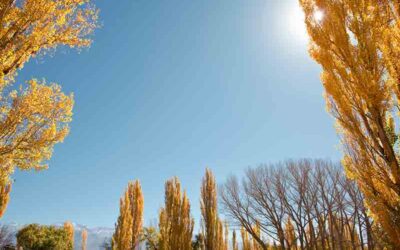 4/19/25: Perfect Spring Day Ahead – Sunshine and Warmth Await!