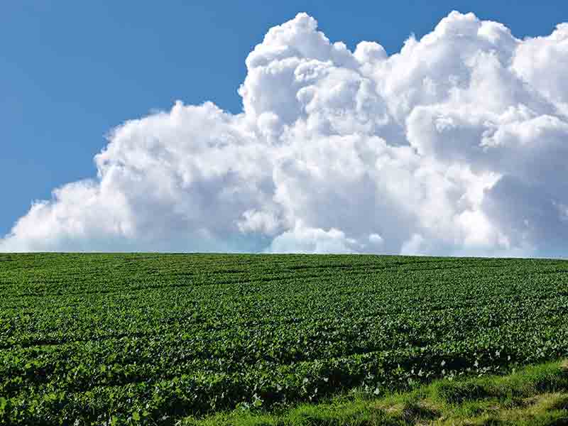 Mostly Cloudy weather conditions for local forecast