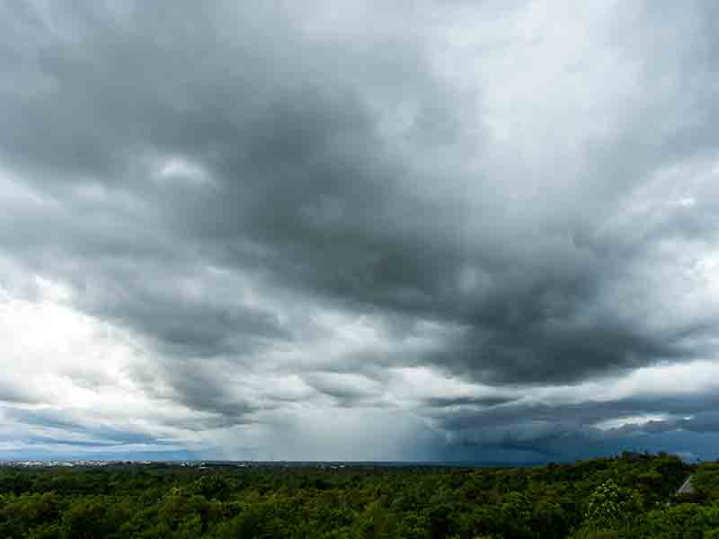5/5/25: Rain Might Fall, Don’t Forget Your Umbrella!