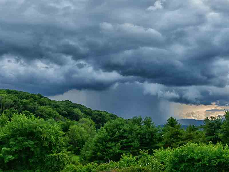 5/26/25: Rain Throws a Southern Shuffle, 55 Degrees of Groove