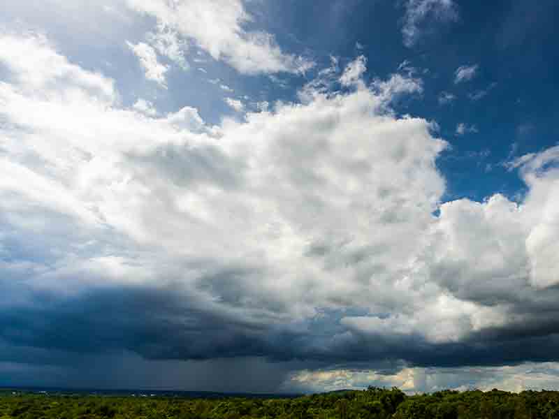 5/5/25: Rain Showers, Clouds Gather, Foggy Chatter!
