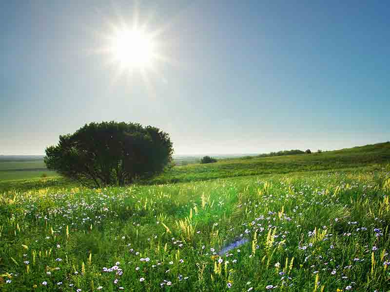 5/6/25: Sunny Delight! Warm Up for a Wonderful Sight!