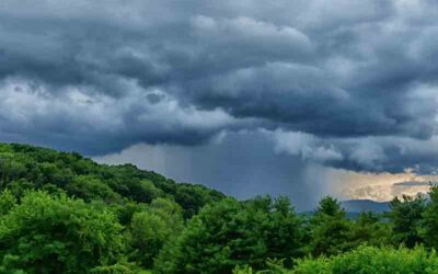 August 13, 2025: New Delhi Cools Slightly After Day of Rain and Thunderstorms