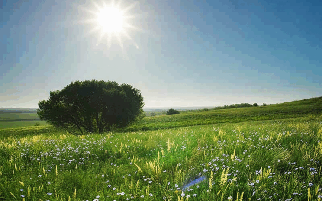 10/25/25: 55.6°F and Clear Sky, High 73.8 Today, Overcast Tonight