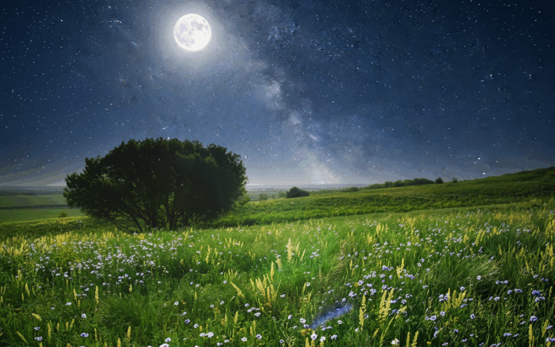 10/21/25: 56°F and Clear Sky in Nashville Tonight