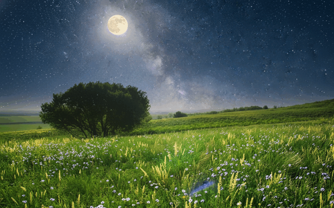 10/22/25: 51.1°F and Clear Sky After Reaching a High of 68°F Today