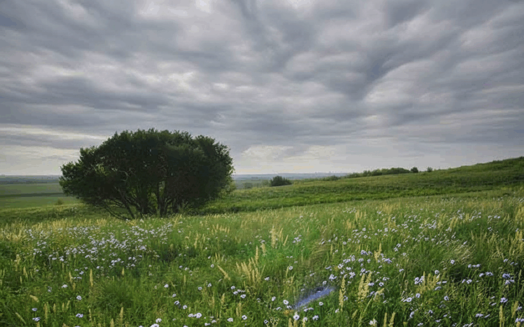 10/27/25: 55°F and Overcast – Will It Rain Today? Find Out Now!