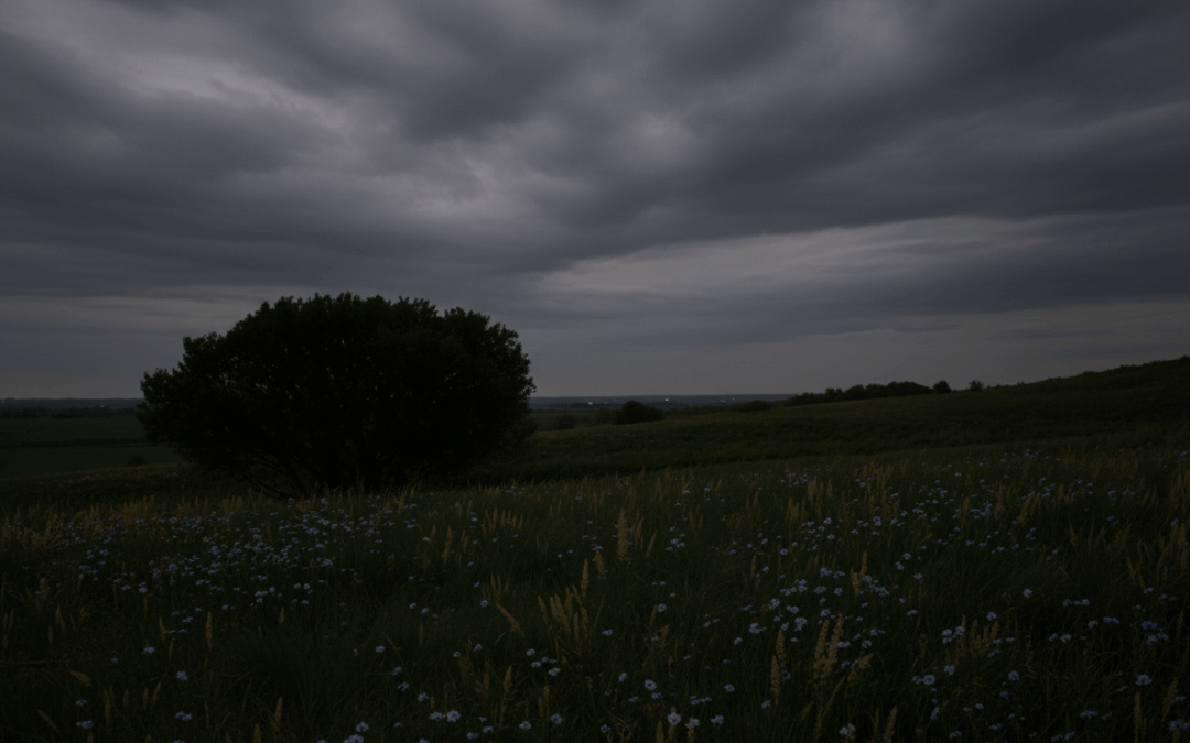 10/26/25: 53°F and Partly Cloudy, Daytime High 61°F, Light Drizzle Earlier