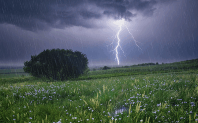 Winter Storm Watch: 1/21/26: Nashville Braces for Severe Winter Storm – What You Need to Know!